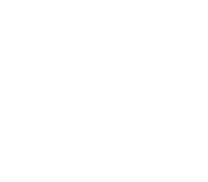 riku logo jap blanc